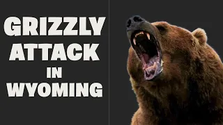 Grizzly Attack in Wyoming