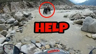 MUST WATCH | DANGEROUS WATER CROSSINGS | SPITI VALLEY | LEH LADAKH | TVS JUPITER