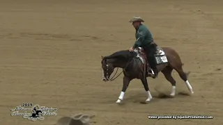 Luckie Moonstone ridden by Shawn Flarida   2019 NRBC Sec  2 Open Finals