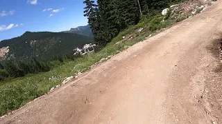 Stevens Pass Bike Park