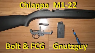 Problem Chiappa M1-22 Bolt and FCG disassembly. Fixed/repaired*