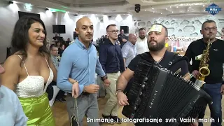 Lepo vlasko kolo za vesele goste u Beču-Borko Radivojevic & Tigrovi( LIVE 2022)