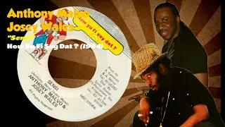 Anthony Malvo & Josey Wales - Sensi (How Yu Fi Sey Dat?) 1994