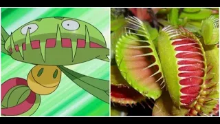 10 Grass Type Pokemon in Real Life