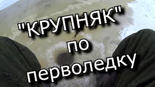 "Крупняк" по перволедку