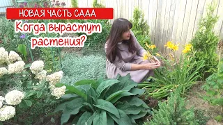 САД с НУЛЯ. Сколько растут растения? Моя новая часть сада.