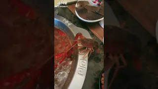 Poor crab 🦀 escaped from a boiling dish