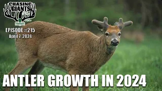 Episode #215 - Could 2024 be a fantastic antler growing season?