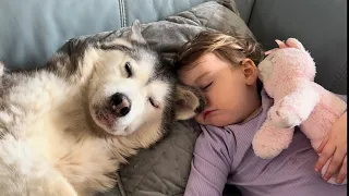 Baby & Husky REFUSE To Wake Up!😂. SO SASSY!