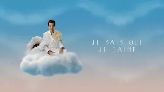 MIKA - Je sais que je t'aime (Official Visualizer)