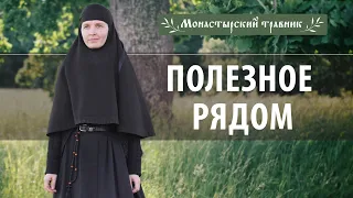 Полезные растения рядом с нами. Монастырский травник № 3