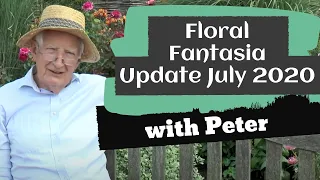 Floral Fantasia Update July 2020 | Garden Ideas | Peter Seabrook