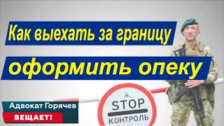 Как оформить опеку для выезда за границу?