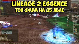 Топ фарм для 85 лвла в Lineage 2 Essence.