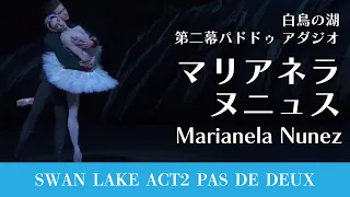 【完璧すぎるバレリーナ】マリアネラ・ヌニュス　白鳥の湖　第二幕パドドゥ アダジオ| Marianela Nunez Swan Lake Act II Pas de Deux Adag