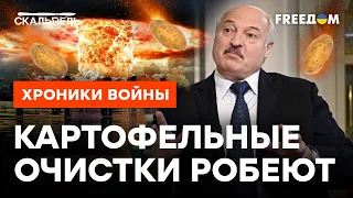 Агент ЧИПС спит и видит ЯДЕРКУ ПОД ПОДУШКОЙ! Бредни диктаторов ВЫХОДЯТ ЗА РАМКИ | Скальпель