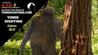 Yowie / Bigfoot Sighting (Audio Report #130) near Cairns, Queensland