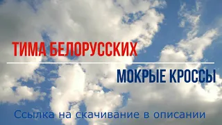 Тима Белорусских - Мокрые кроссы (минусовка, для караоке, instrumental)