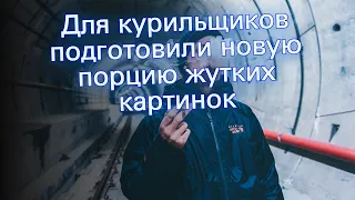 Для курильщиков подготовили новую порцию жутких картинок