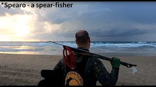 Let's talk about spearfishing | spearfishing in israel