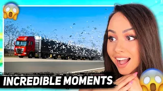 Incredible Moments Caught on Camera #3 | Bunnymon Reacts