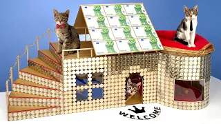 I Gave Homeless Kittens $1,000,000 House