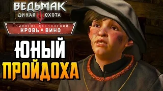 Ведьмак 3 Кровь и Вино ► ЮНЫЙ ПРОЙДОХА |15| Прохождение