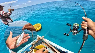 UMPAN IKAN HIDUP DI AIR DANGKAL CUMA 2 METER, HASILNYA REEL MENJERIT KENCANG