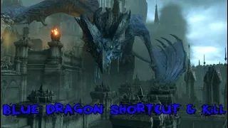 DEMON SOULS HOW TO GET THE BLUE DRAGON SHORTCUT & EASILY KILL IT 🐉
