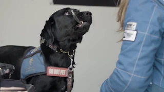 Dogs4Diabetics: Living Beyond Type 1 Diabetes Trailer