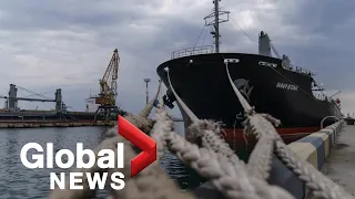 1st Ukrainian grain ship leaves port of Odesa, gives glimmer of hope for global food crisis