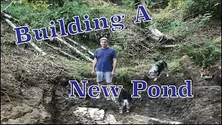 Building My First Pond with Creek
