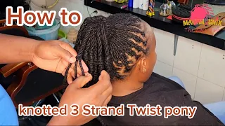 REMASTERING Knotted Three Strand Twist Ponytail with Infinity Braid Wrap