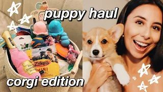 NEW PUPPY HAUL | Everything You Need | Corgi Essentials Edition 2020