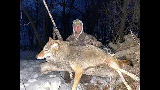 Night Time COYOTE Hunting TIPS - Shots Fired
