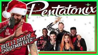 🎄12 DAYS OF CHRISTMAS ⭐🎁- Pentatonix🎙 | MUSICIANS REACT