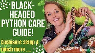 Black-headed python Care Guide! Enclosure setup, heating, substrate and much more!