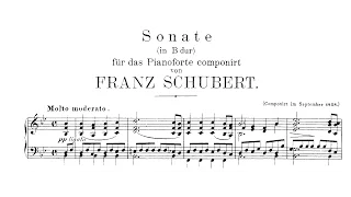 Schubert: Piano Sonata in B-flat Major, D.960 (Kovacevich)