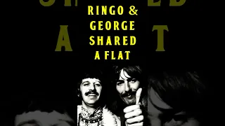 The Beatles Ringo Starr & George Harrison Shared A Flat #shortvideo #shorts #shortsfeed #short