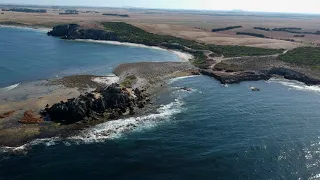 the rock cape douglas