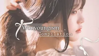 ౨ৎ ˖ ࣪⊹ Wonyoungism tiktok compilation to make our day better ˚ ೀ⋆｡˚