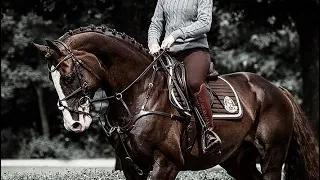 Les || English Riding Music Video