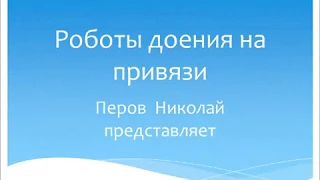 Доим коров.Автоматика доения на привязи