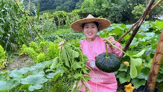 Picking pumpkins and pumpkin vines to entertain guests, the family eats deliciously