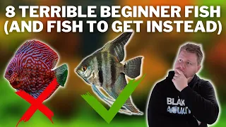 8 of the Worst Fish for Beginners and 8 Fish to get Instead