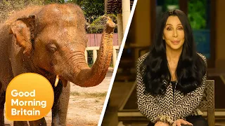 Cher Exclusive: A Mission To Save The Loneliest Elephant | Good Morning Britain