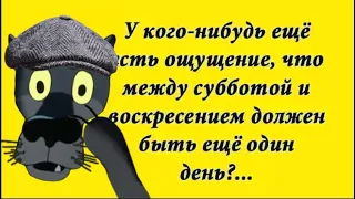 ✔️Вчера встала на весы… больше не буду вставать на весы… нет больше весов… Анекдоты с Волком