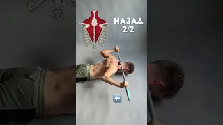 Тренировка с палкой на всю спину