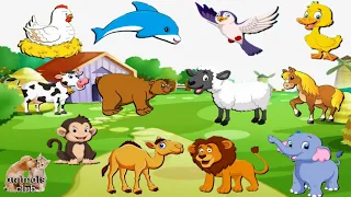 Animals names & sounds |  Cow, sheep, duck, horse, chicken, pig, Lion, Monkey, Rhino, Toucan, Parrot