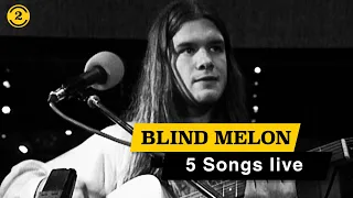 BLIND MELON - 5 songs live on 2 Meter Sessions (1993)